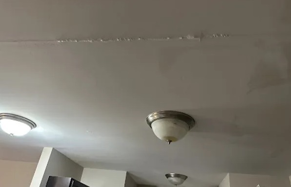 Ceiling Water Extraction in Canton, NC