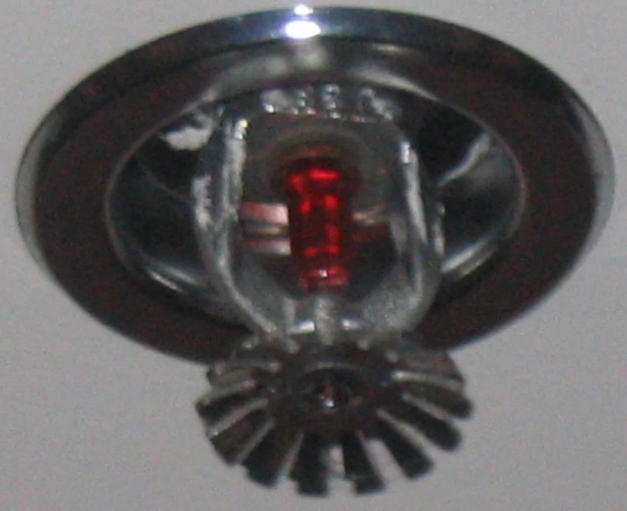 Sprinkler System Water Removal in Berea, SC