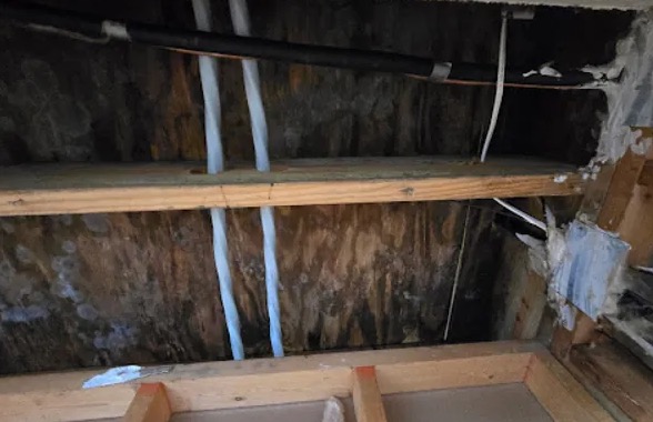 Attic Water Extraction in Etowah, NC
