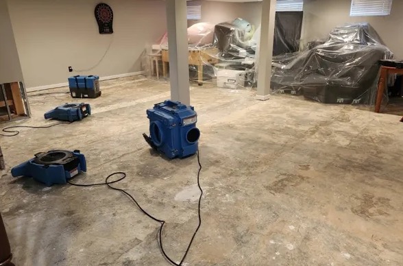 Mold Remediation in Hendersonville, NC